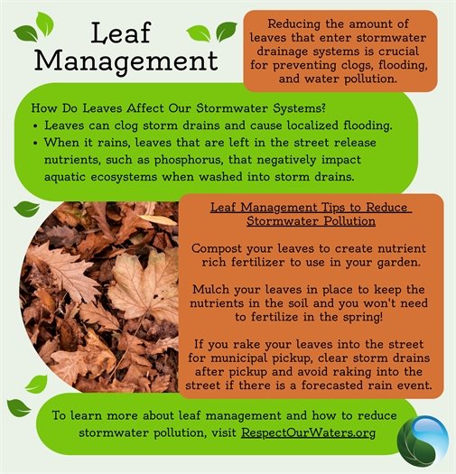 Leaf Management 