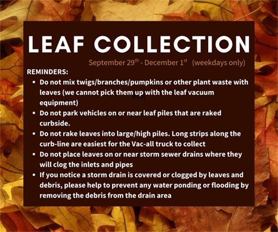 Leaf Collection