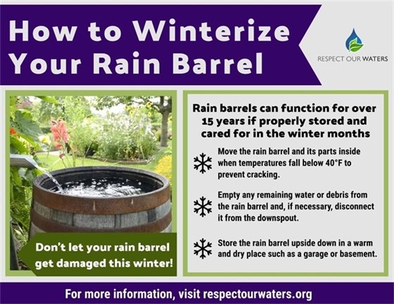 Rain Barrel 