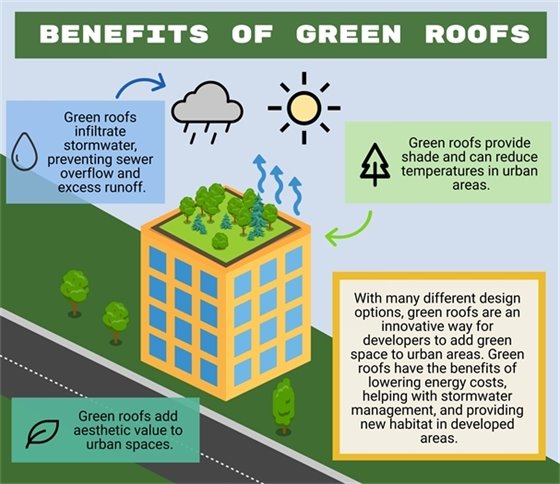  Green Roofs
