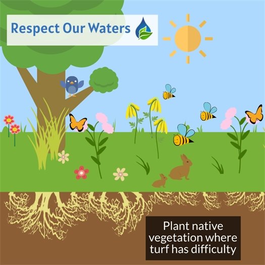 Respect Our Waters 