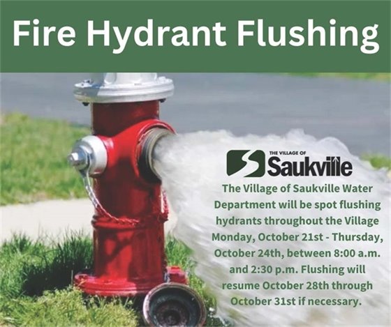 Hydrant Flushing 