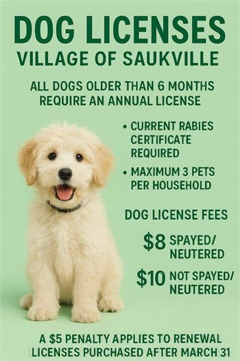 Dog License