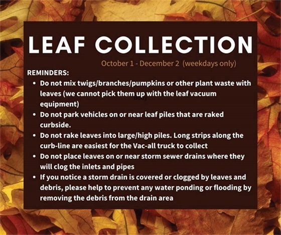Leaf Collection