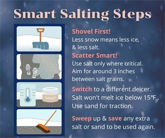 Smart Salting 